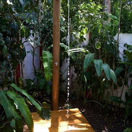 Casa Da Beatriz Bed & Breakfast Trancoso Exterior photo