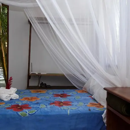 Casa Da Beatriz Bed & Breakfast Trancoso Exterior photo